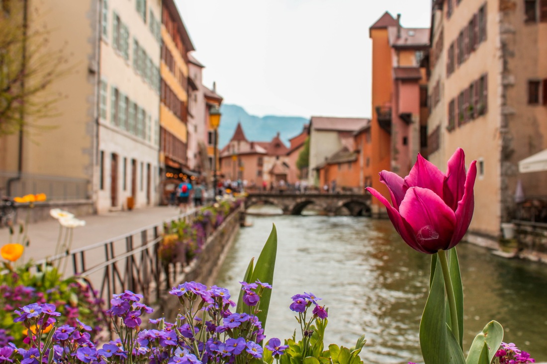 annecy old town