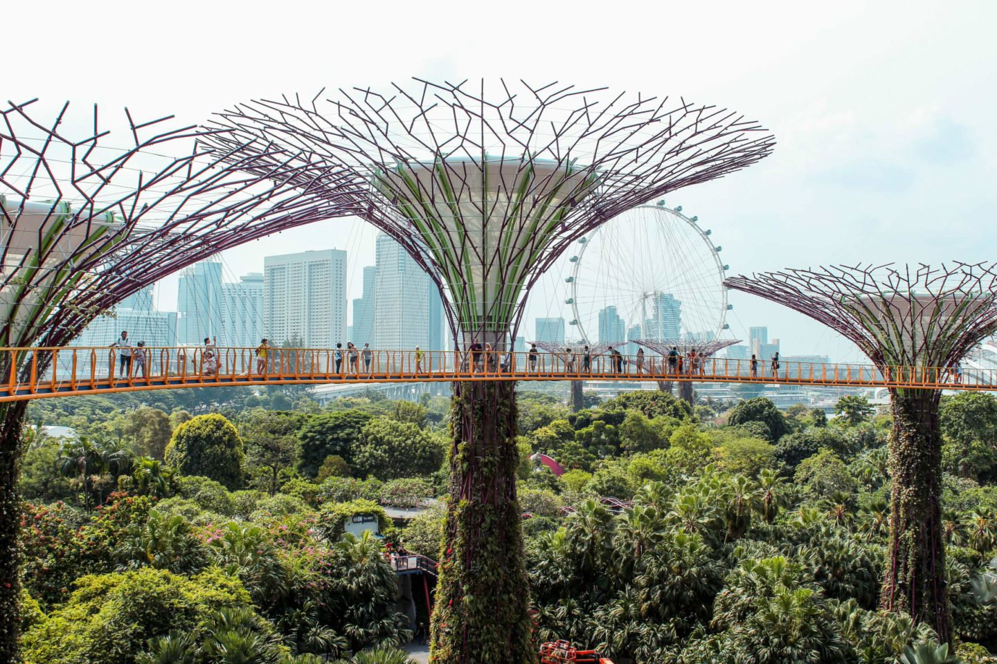 supertrees singapore