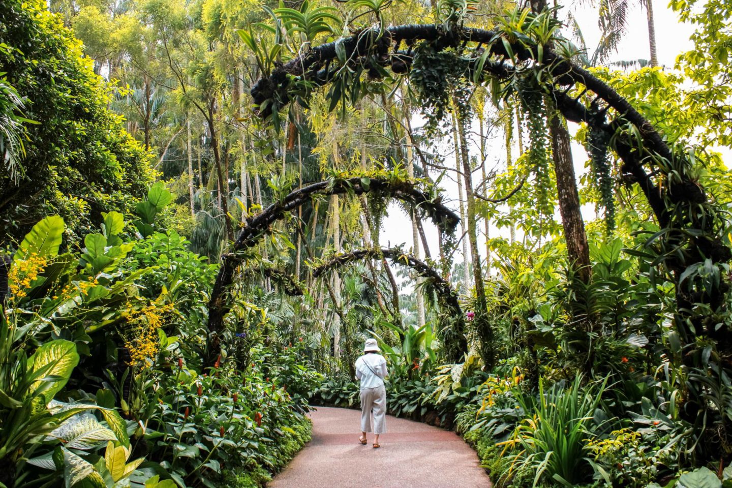 singapore Botanic Garden