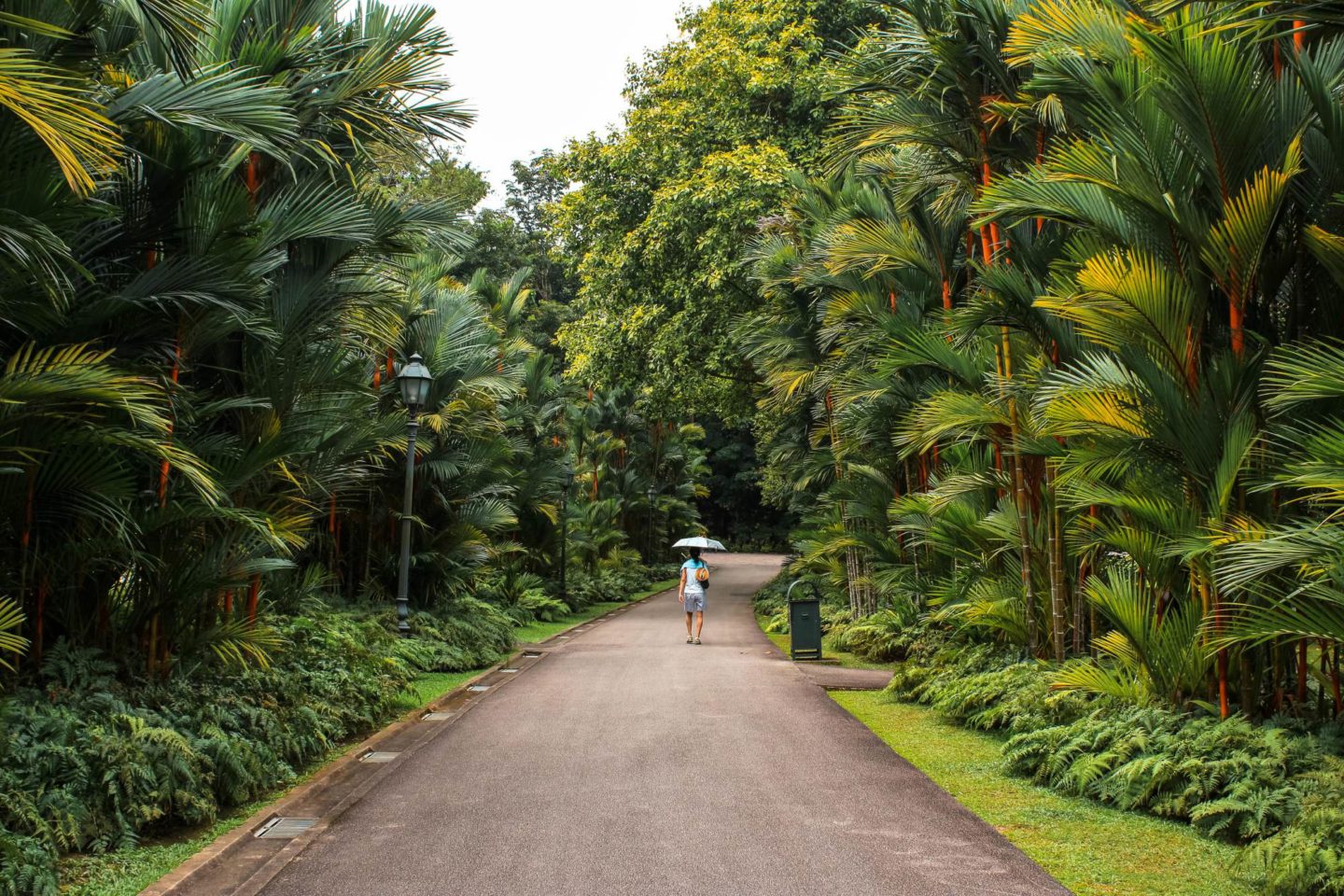 Botanic Garden singapore